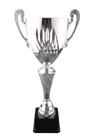 Cupe Sportive CS 07